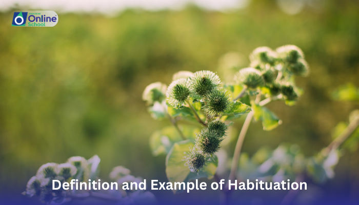 Lesson 11: Definition and Example of Habituation